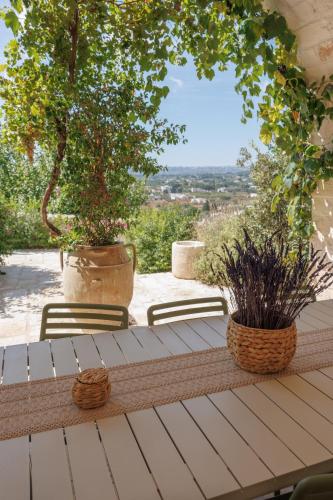 CRIO - Experiences at home, Cisternino (foto 6)