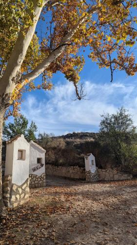Cueva Murphy - Modern house with 3 cave bedrooms in Orce in Orce