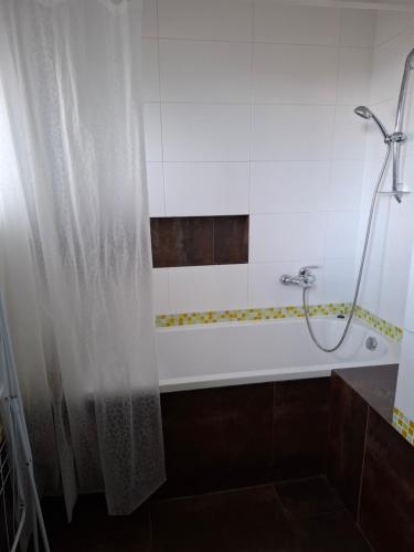 Apartment Maximilian, Братислава (фото 9)