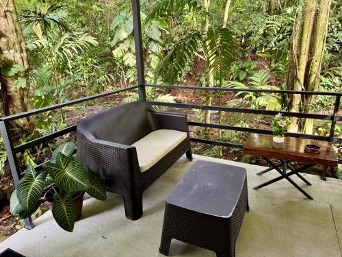 The frog house, Fortuna (Foto 7)