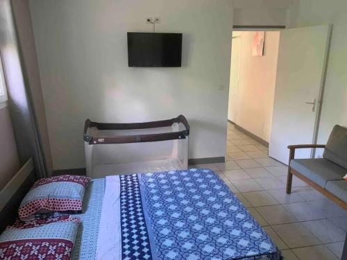 Appartement confortable à Ducos 37 m² jardin privé - image 4