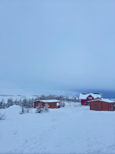 Armuli in Varmahlid
