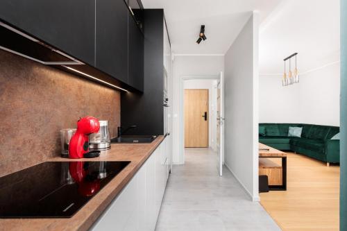 City of the Kings - Eden Apartment, Cracovia (foto 4)