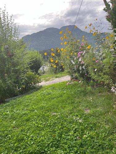 Ferienwohnung Am Jodlerweg in Bad Ischl