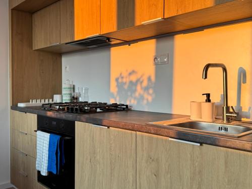 Castle View 3BR Apartment in Old Town, Bratislava (Foto 7)