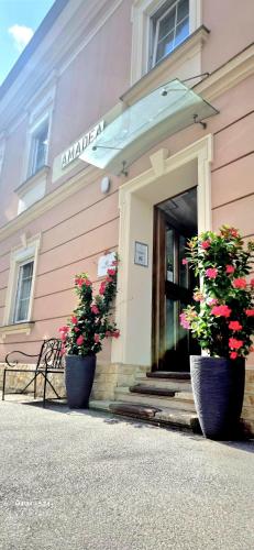 AMADEA - Cityhotel Salzburg, Salcburk