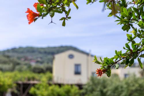 Relais Regina Giovanna - image 10