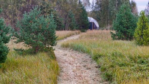 Dome & Sauna & River & BBQ, Türisalu (foto 3)
