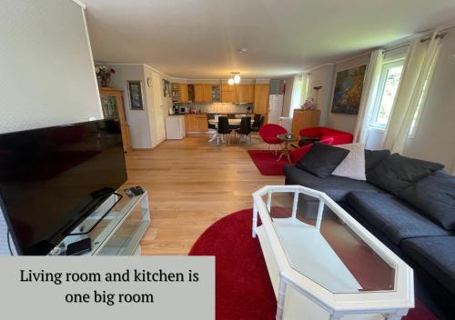 Spacious apartment with 4 bedrooms in Грімштад