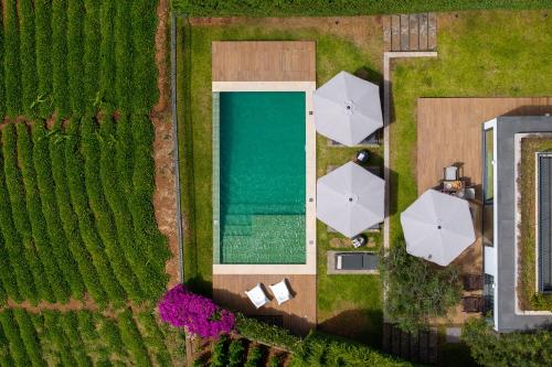 Bella Vita by OurMadeira - image 9