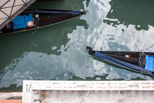 Aqua Palace - image 8