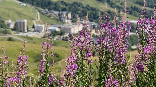 Appartement LE ROC ROUGE aux pieds des pistes in Montgellafrey
