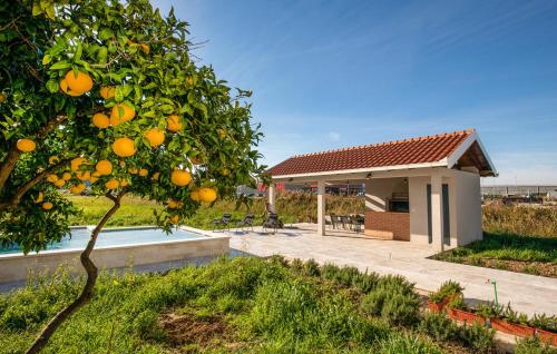 Villa Dolina apartment in 柯普新