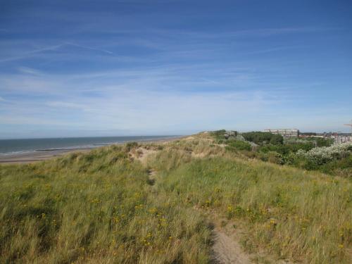 Studio with sea view and panoramic view in Bredene