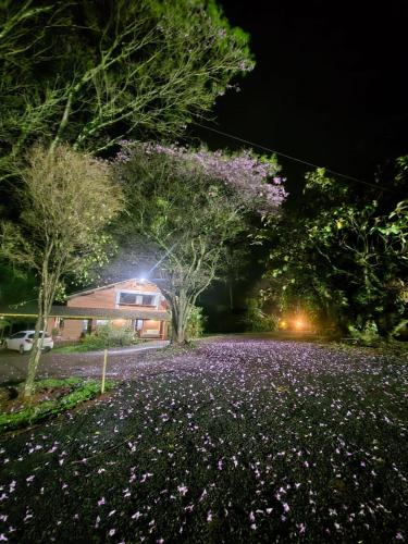 Hotel & Restaurant Las Brisas in Vanda