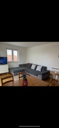 Apartman Sven in Bogovici