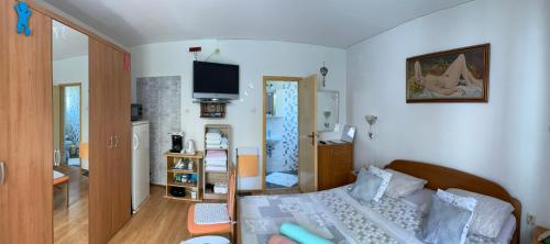 Nora in Rovinj