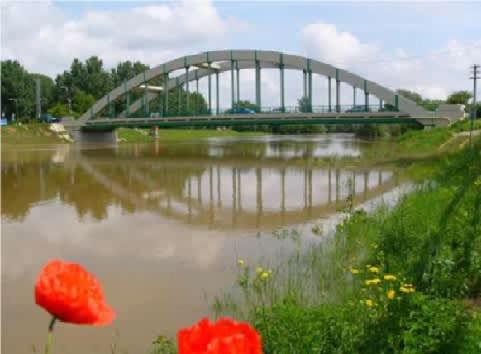 Riverside - Central - Cozy, Újtelep (foto 9)