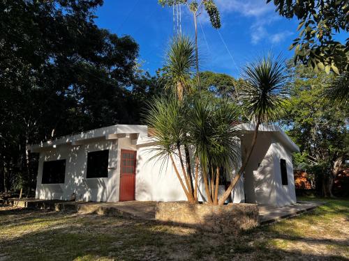 Garden, Casa Manilkara Calakmul in Xpujil