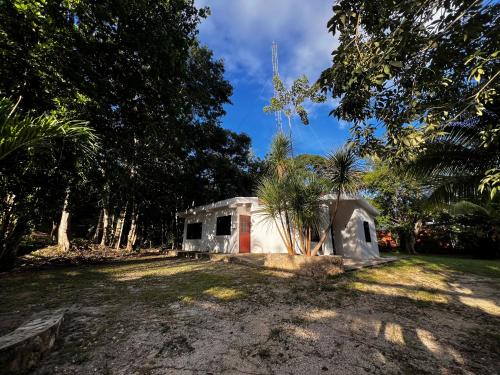 Surrounding environment, Casa Manilkara Calakmul in Xpujil