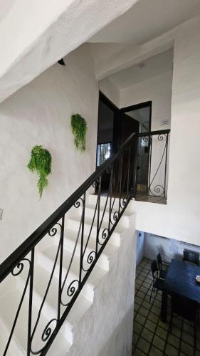 Apartamento rustico con alberca en versalles in Puerto Vallarta, Mexico