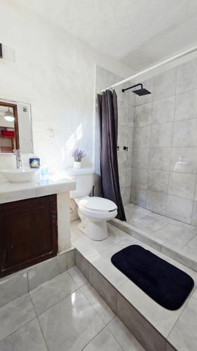 Apartamento rustico con alberca en versalles in Puerto Vallarta, Mexico