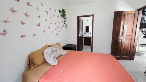 Apartamento rustico con alberca en versalles