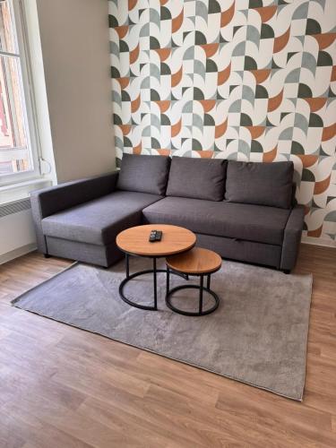 Confort & calme - Neudorf Strasbourg, Strasburg (zdjęcie 2)