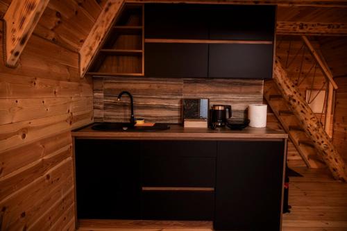 Montenegrina Wood House in Pruška