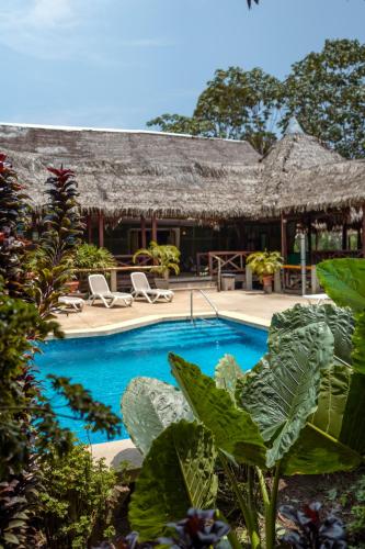 Peldbaseins, Heliconia Amazon River Lodge in Francisco de Orellana