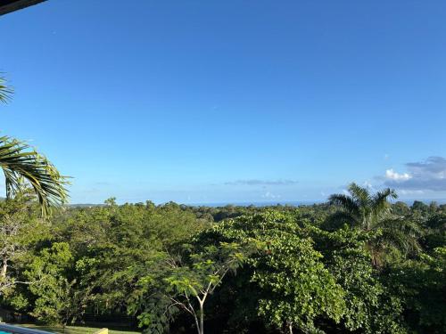 สภาพแวดล้อมโดยรอบ, Upton apartment Ocho rios in เบรดนัท ฮิลล์