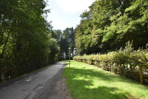 Sports and activities, Ein Traum im Leechwald nahe LKH in Mariatrost