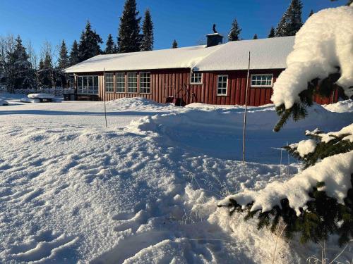 Very central and by the lake Sjusjøen in Sjusjoen