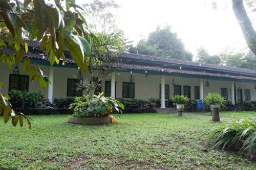 Omah Kebon Guest House in Temanggung