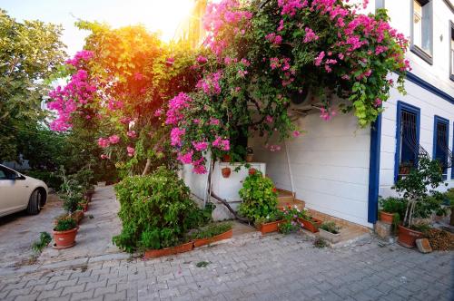 Apartment with Garden View