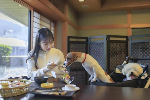 Corredor Yugawara Dog＆Resort