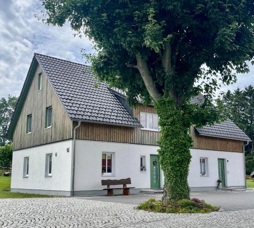 外部景觀, Ferienwohnung Auszeit am Schlossberg in 迪波爾迪斯瓦爾德