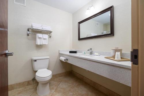 Quality Inn & Suites - image 35