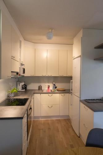 Kitchen, The Polar Roost in Ahkiomaa