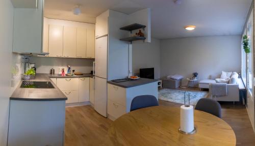 Kitchen, The Polar Roost in Ahkiomaa