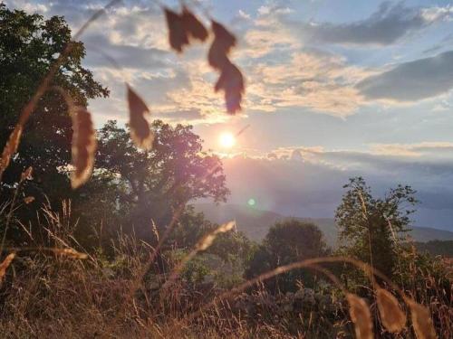 Gîte de charme avec animaux admis et Wi-Fi à Saint-Nicolas-des-Biefs - FR-1-489-553 (Gite de charme avec animaux admis et Wi-Fi a Saint-Nicolas-des-Biefs - FR-1-489-553) in Saint Nicolas Des Biefs
