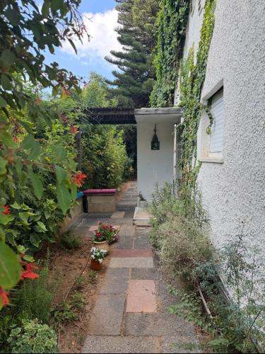 Cottage near the beach in Herzliya City Center