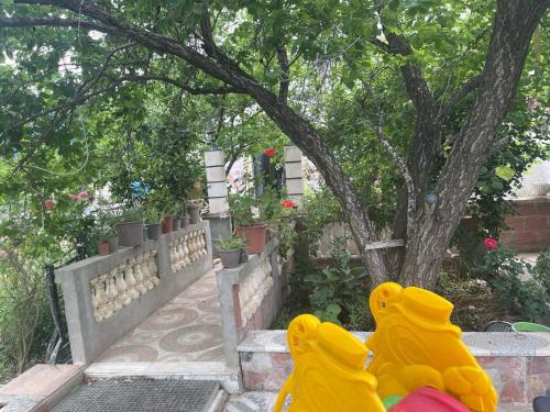 Duplexe familiale avec jardin in Constantine