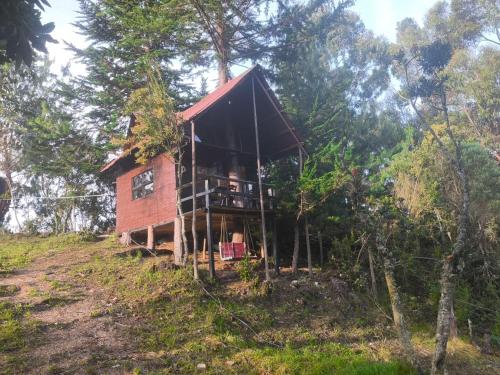 Cabaña sesquile del arbol