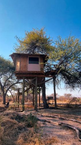 Camp Naledi - Exclusive Safari Tented Lodge with River View I Natural Plunge Pools I All Inclusive I in Ngwala