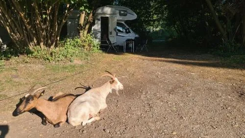Camping - Bring your tent or van and experience our club! in Feldkirchen bei Graz, Österreich