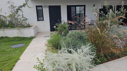 מנות בטבע, Manot (foto 10)