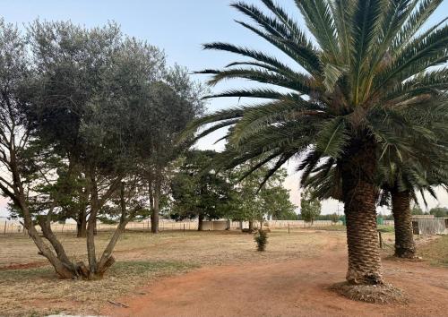 デルマス Country Farm House 4つ星 ゲストハウス 眺望