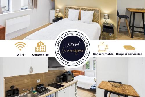 Le Chevalier au Lion - City center - Location saisonnière - Troyes