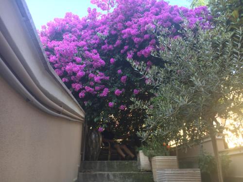  B&B La Bougainvillea, Pension in Andria